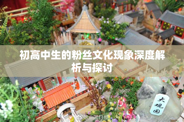 初高中生的粉丝文化现象深度解析与探讨