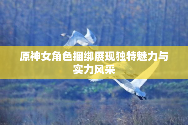原神女角色捆绑展现独特魅力与实力风采