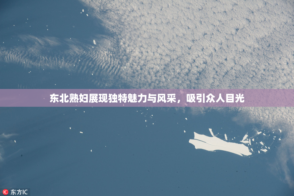 东北熟妇展现独特魅力与风采，吸引众人目光