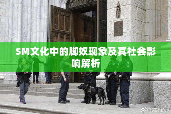 SM文化中的脚奴现象及其社会影响解析