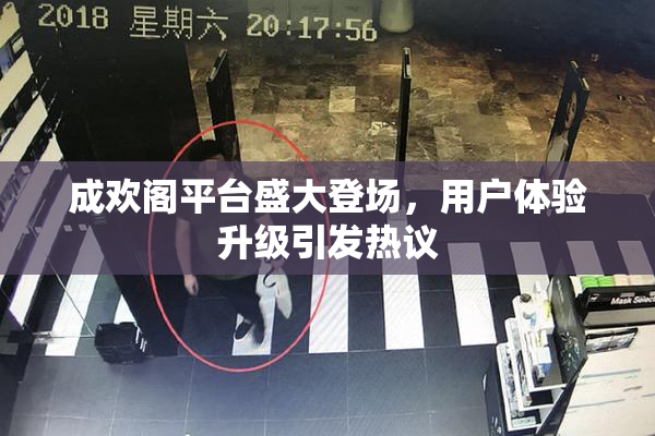 成欢阁平台盛大登场，用户体验升级引发热议