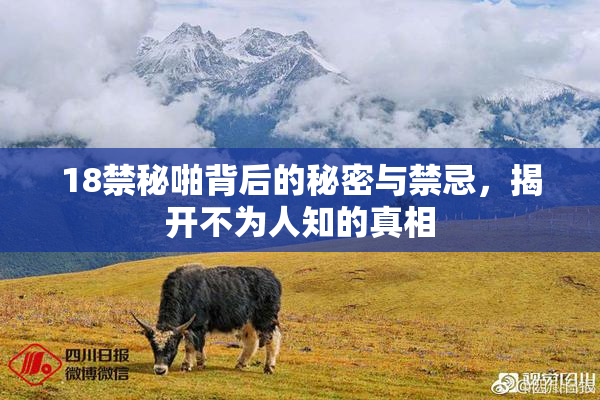 18禁秘啪背后的秘密与禁忌，揭开不为人知的真相