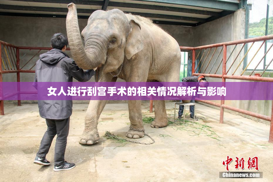 女人进行刮宫手术的相关情况解析与影响