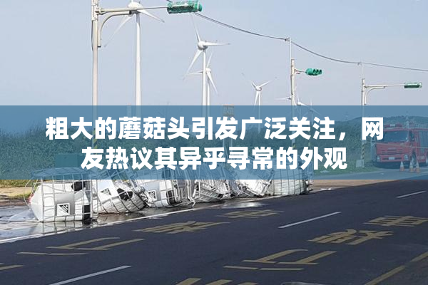 粗大的蘑菇头引发广泛关注，网友热议其异乎寻常的外观
