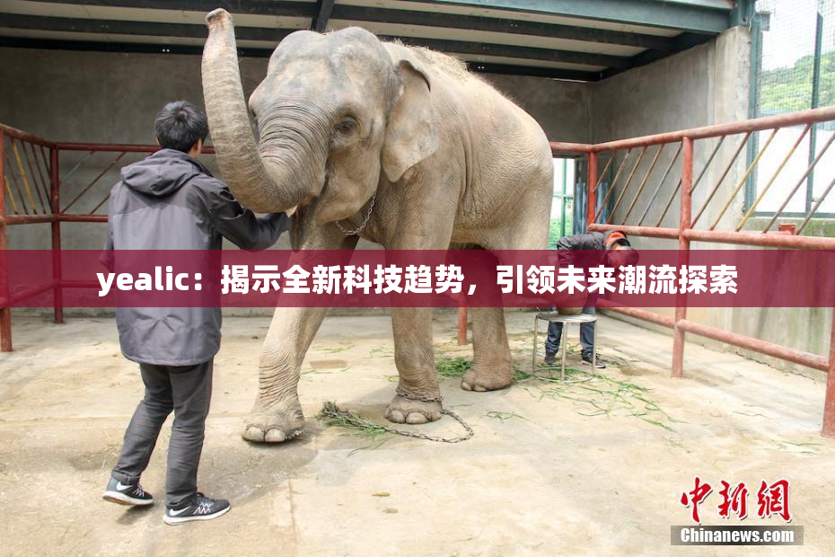 yealic：揭示全新科技趋势，引领未来潮流探索