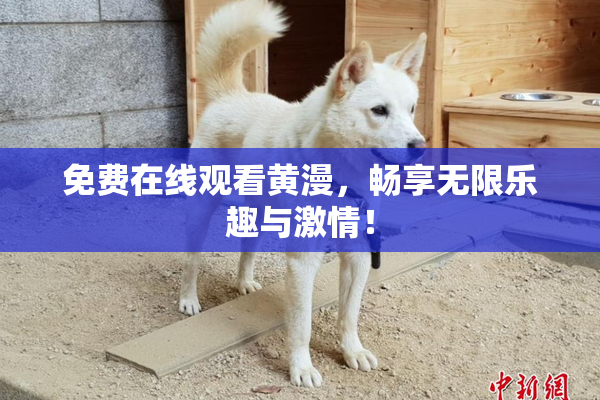 免费在线观看黄漫，畅享无限乐趣与激情！