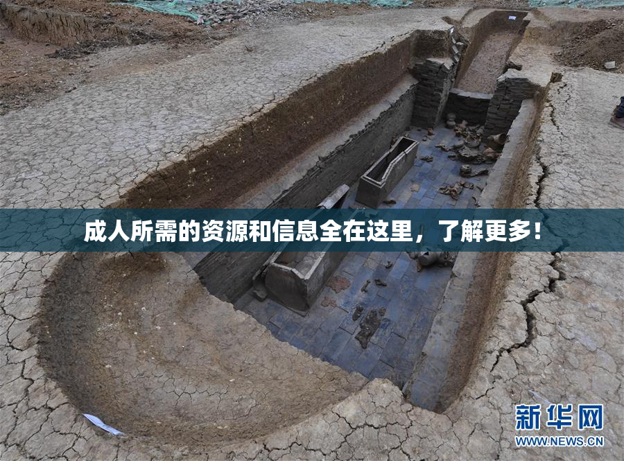 成人所需的资源和信息全在这里，了解更多！