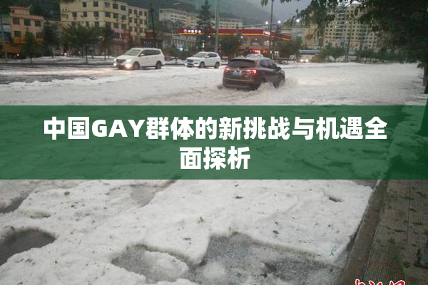 中国GAY群体的新挑战与机遇全面探析