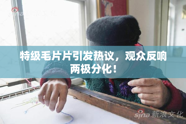 特级毛片片引发热议，观众反响两极分化！