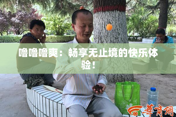 噜噜噜爽：畅享无止境的快乐体验！