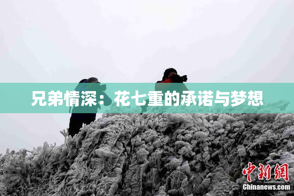 兄弟情深：花七重的承诺与梦想