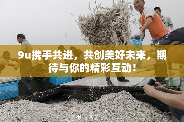 9u携手共进，共创美好未来，期待与你的精彩互动！