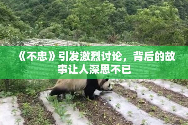 《不忠》引发激烈讨论，背后的故事让人深思不已
