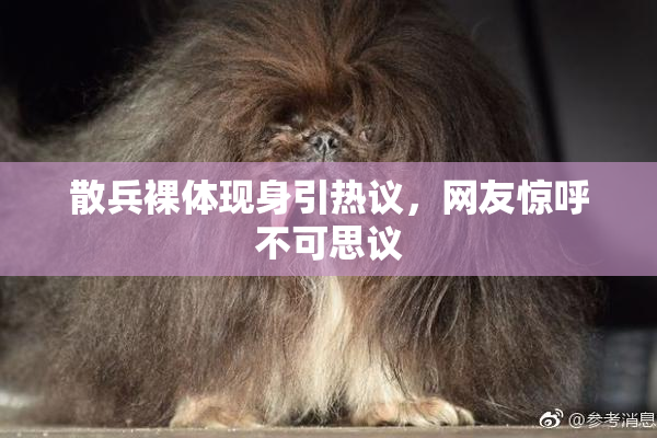 散兵裸体现身引热议，网友惊呼不可思议