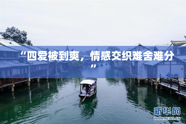 “四爱被到爽，情感交织难舍难分”