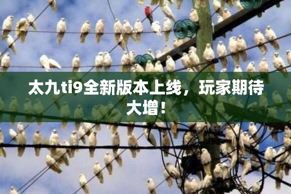 太九ti9全新版本上线，玩家期待大增！