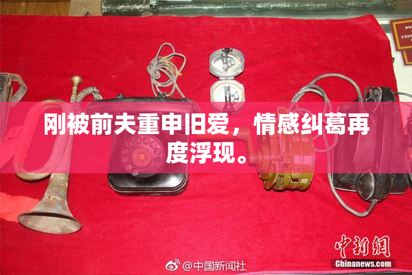 刚被前夫重申旧爱，情感纠葛再度浮现。