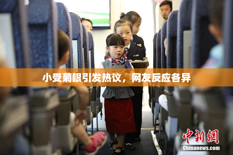 小受菊眼引发热议，网友反应各异