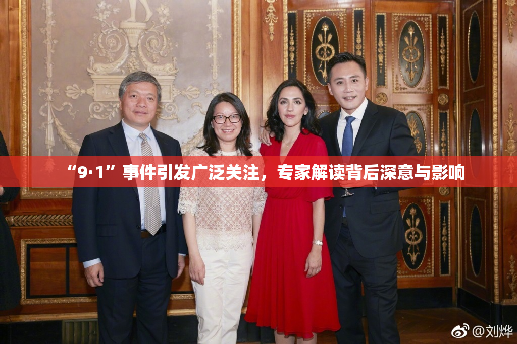 “9·1”事件引发广泛关注，专家解读背后深意与影响