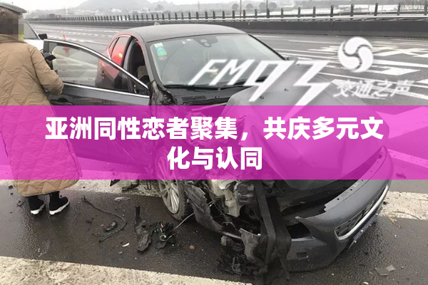 亚洲同性恋者聚集，共庆多元文化与认同