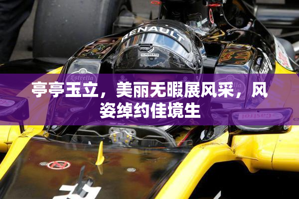 亭亭玉立，美丽无暇展风采，风姿绰约佳境生