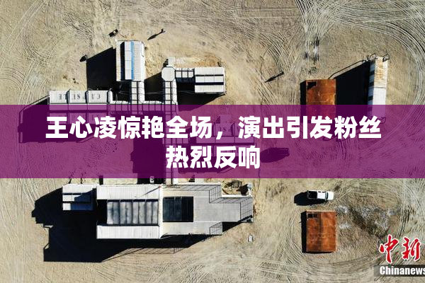 王心凌惊艳全场，演出引发粉丝热烈反响