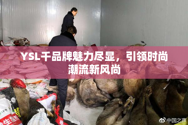 YSL千品牌魅力尽显，引领时尚潮流新风尚