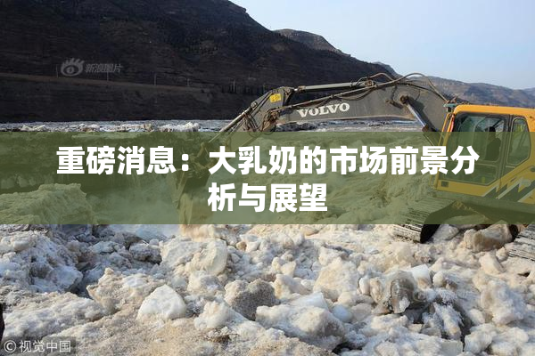重磅消息：大乳奶的市场前景分析与展望