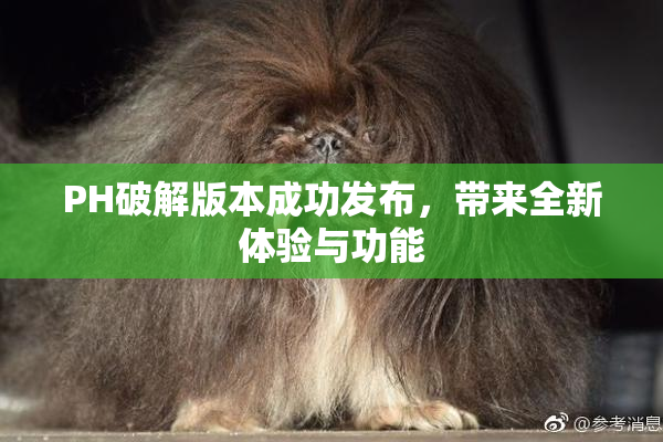 PH破解版本成功发布，带来全新体验与功能