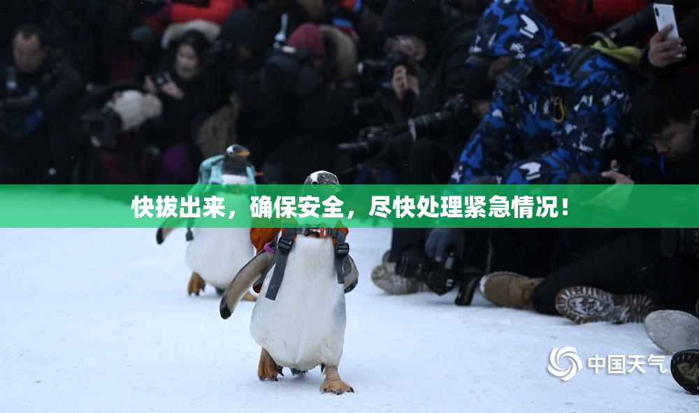 快拔出来，确保安全，尽快处理紧急情况！