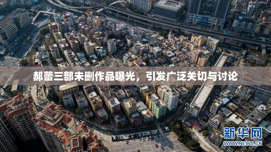 郝蕾三部未删作品曝光，引发广泛关切与讨论