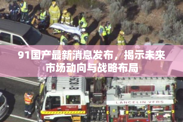 91国产最新消息发布，揭示未来市场动向与战略布局