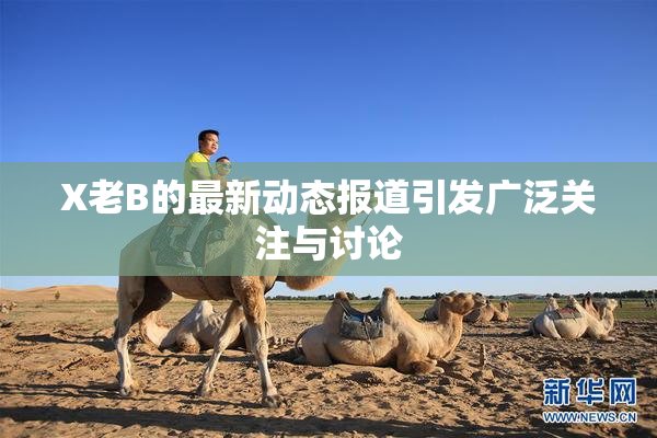 X老B的最新动态报道引发广泛关注与讨论
