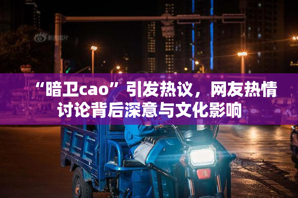 “暗卫cao”引发热议，网友热情讨论背后深意与文化影响