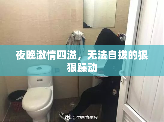 夜晚激情四溢，无法自拔的狠狠躁动