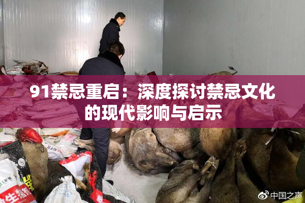 91禁忌重启：深度探讨禁忌文化的现代影响与启示