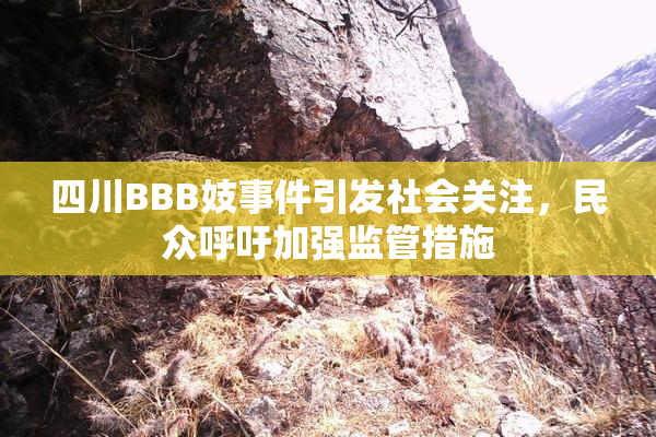 四川BBB妓事件引发社会关注，民众呼吁加强监管措施