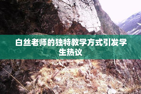 白丝老师的独特教学方式引发学生热议