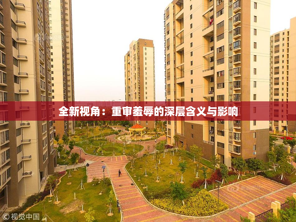 全新视角：重审羞辱的深层含义与影响
