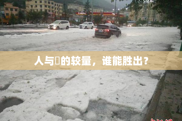 人与嘼的较量，谁能胜出？