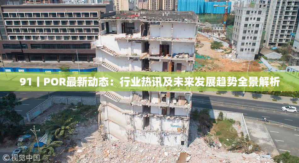 91丨POR最新动态：行业热讯及未来发展趋势全景解析