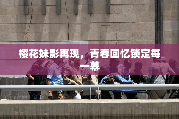 樱花妹影再现，青春回忆锁定每一幕