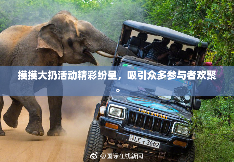 摸摸大扔活动精彩纷呈，吸引众多参与者欢聚。