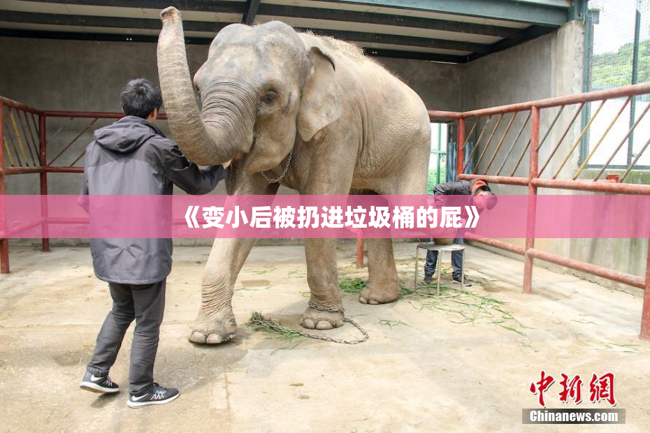 《变小后被扔进垃圾桶的屁》