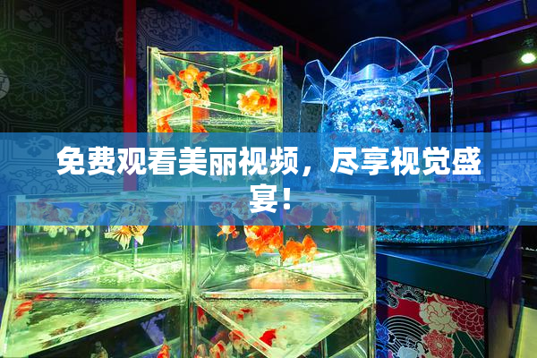 免费观看美丽视频，尽享视觉盛宴！