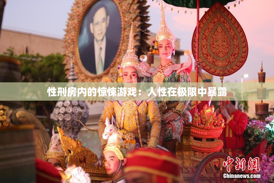 性刑房内的惊悚游戏：人性在极限中暴露