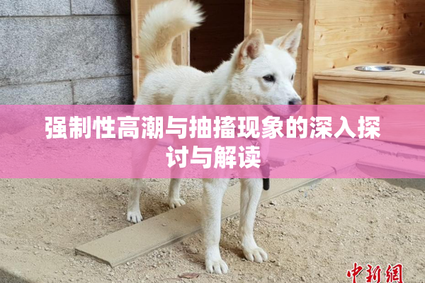 强制性高潮与抽搐现象的深入探讨与解读