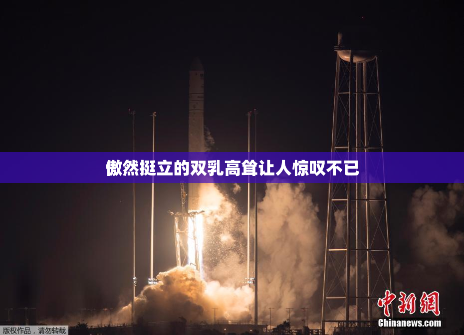 傲然挺立的双乳高耸让人惊叹不已
