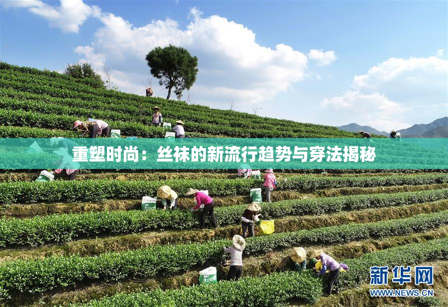 重塑时尚：丝袜的新流行趋势与穿法揭秘
