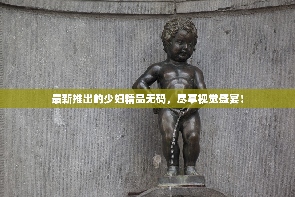 最新推出的少妇精品无码，尽享视觉盛宴！